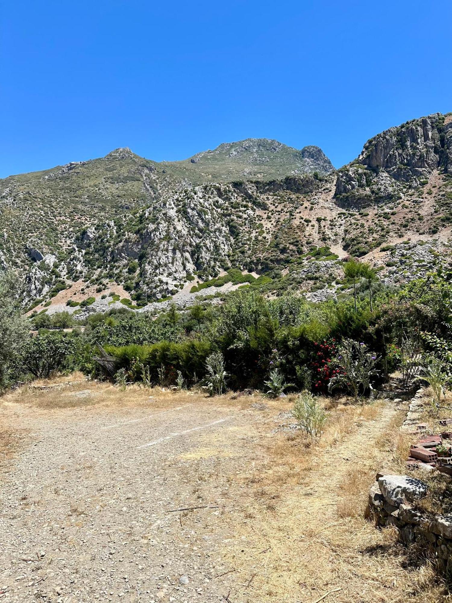 Farm Finn Şafşavan Dış mekan fotoğraf